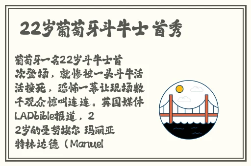 一级成色好的y31s标准版